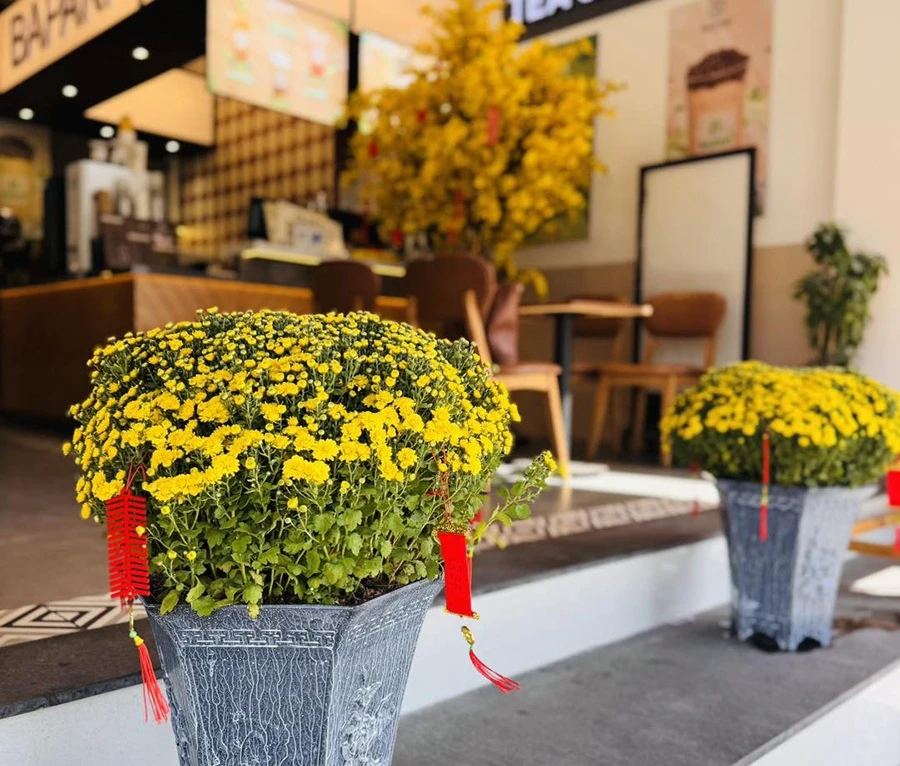 Bapaki Phú Quốc - Lập Xuân